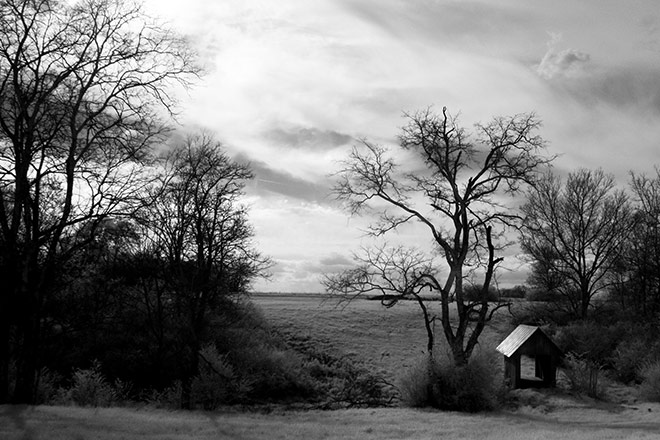 Bridge, Spring Hill Tennessee by Louis La Croix