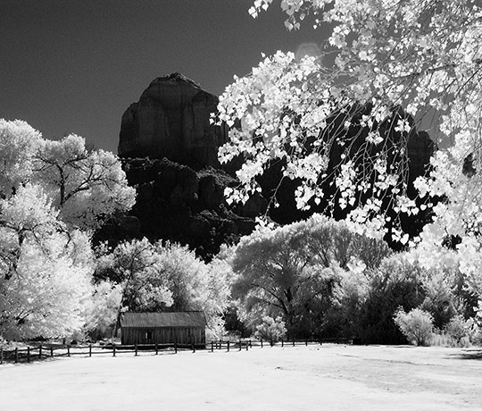 Old Barn by Louis La Croix